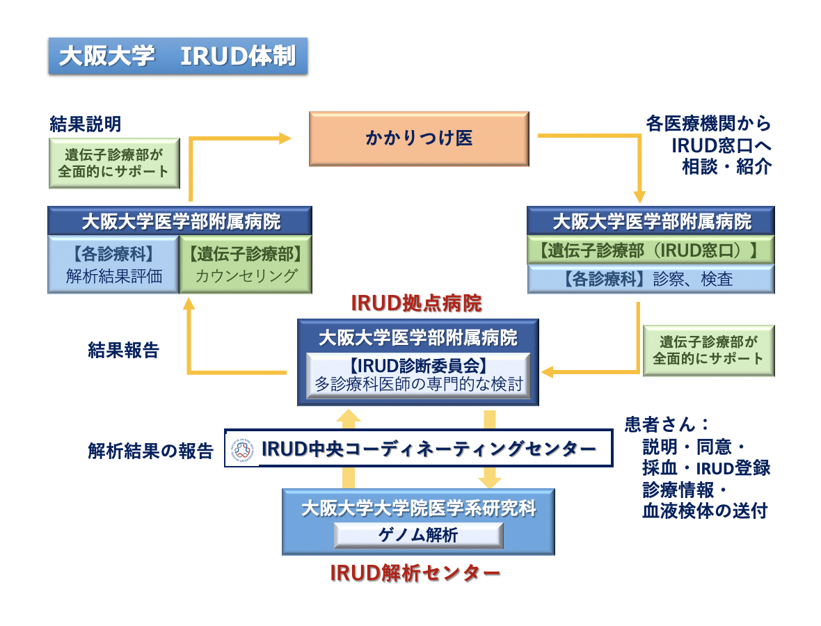 連携図